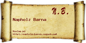 Napholz Barna névjegykártya